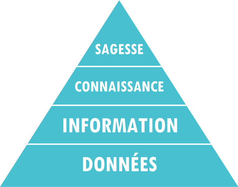 Données puis information puis seulement connaissance pour finir par sagesse... la pyramide DICS représente bien le mécanisme d'une fabrique de connaissances.